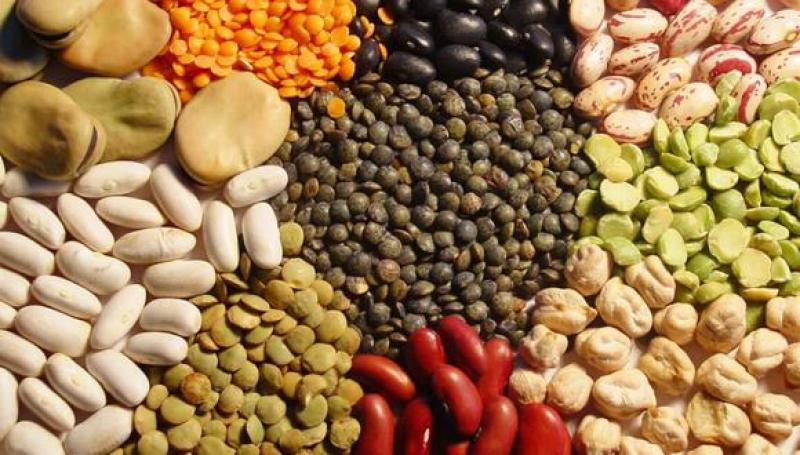 Variedad de menestras peruanas